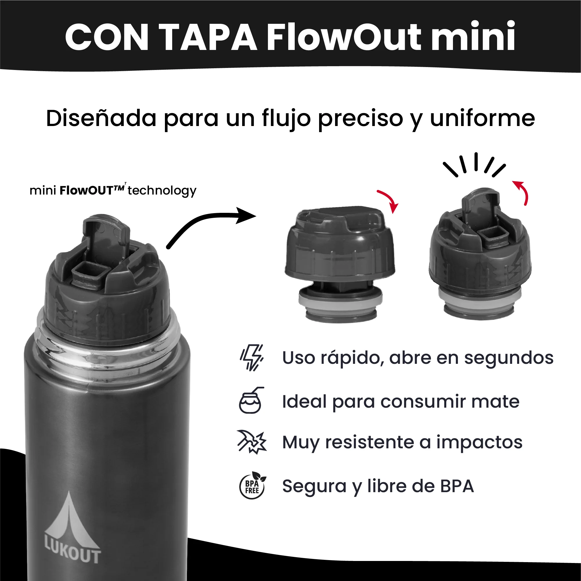 Miniatura 12